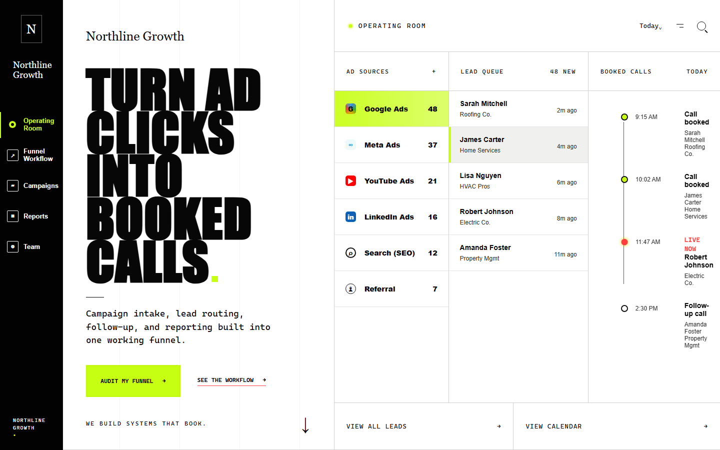 Northline Growth fictional website concept